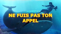 The Scott Smith Blog Ne fuis pas ton appel, Jonas